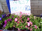 授産品(クリックで拡大できます。)